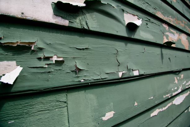 Best Historical Building Siding Restoration  in Crossville, AL