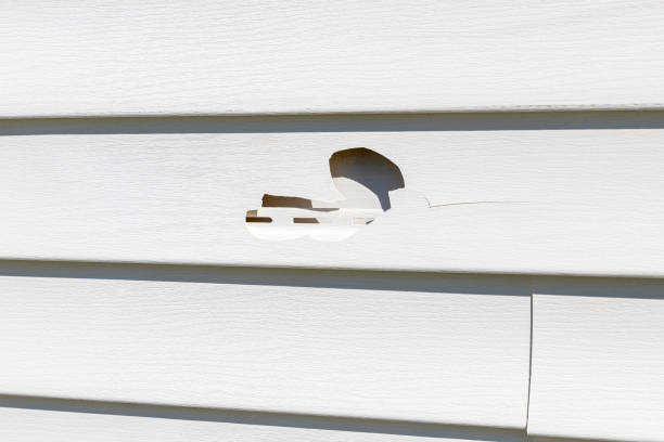 Best Composite Siding  in Crossville, AL