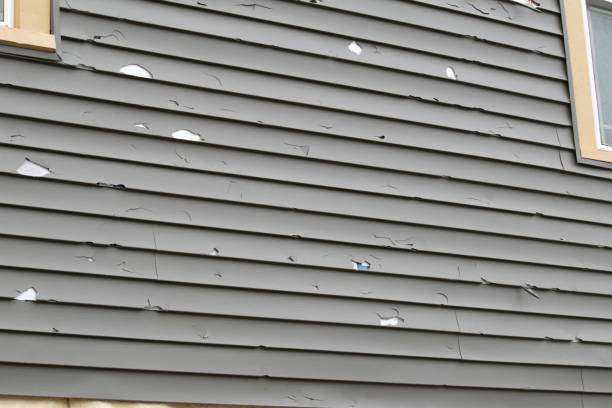 Best Steel Siding Installation  in Crossville, AL